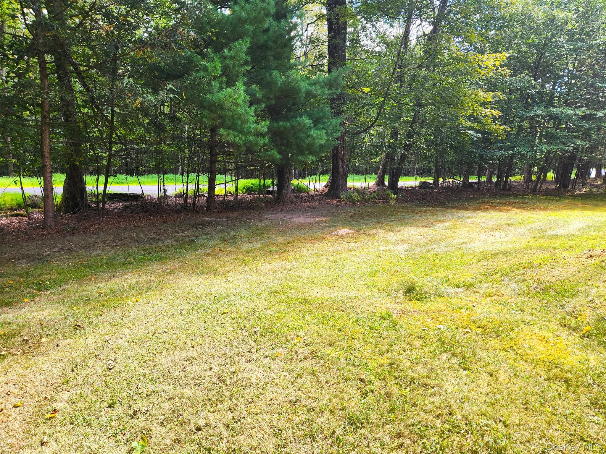 19 Gina Lane, Smallwood, NY 12778