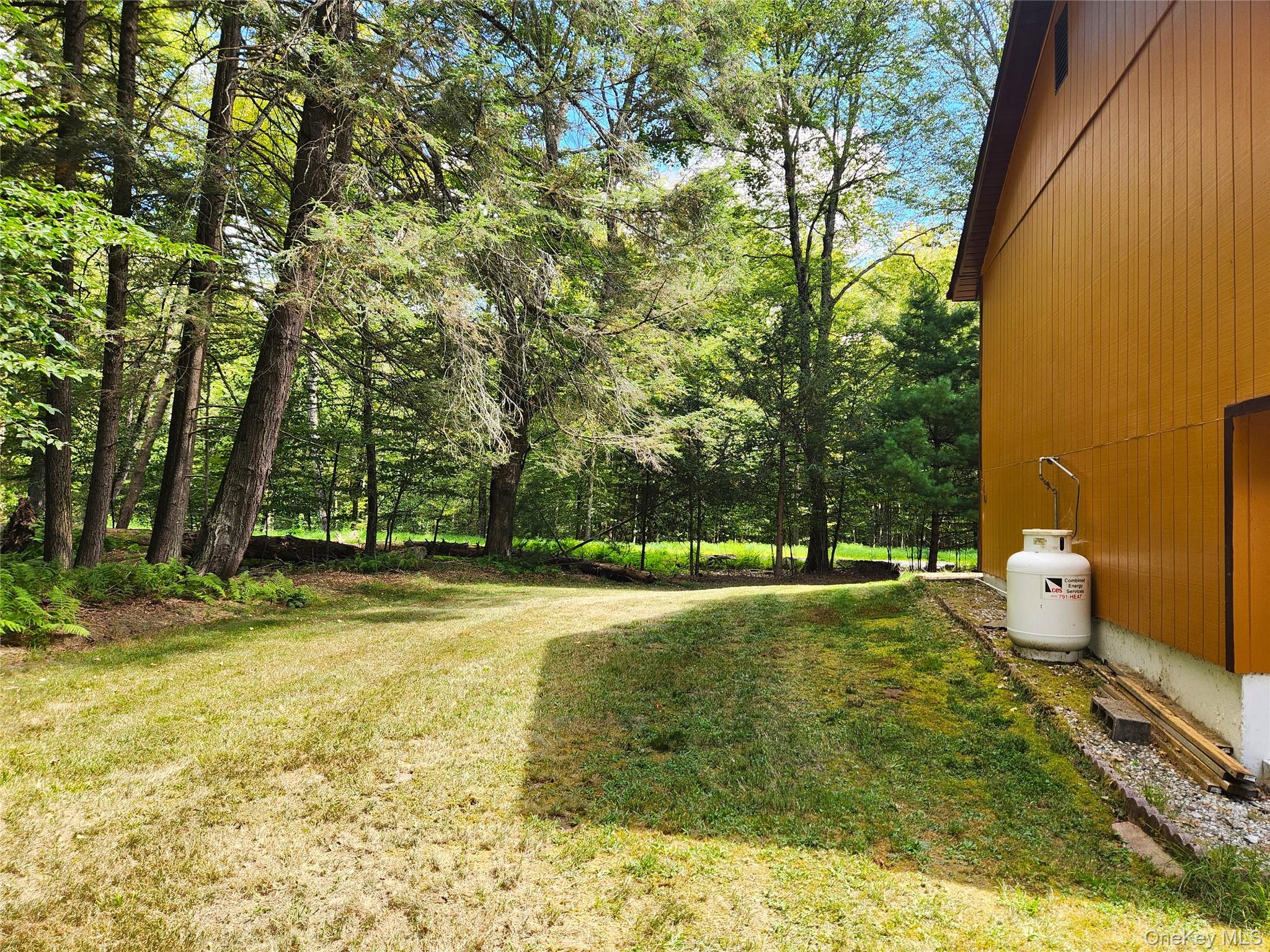 19 Gina Lane, Smallwood, NY 12778