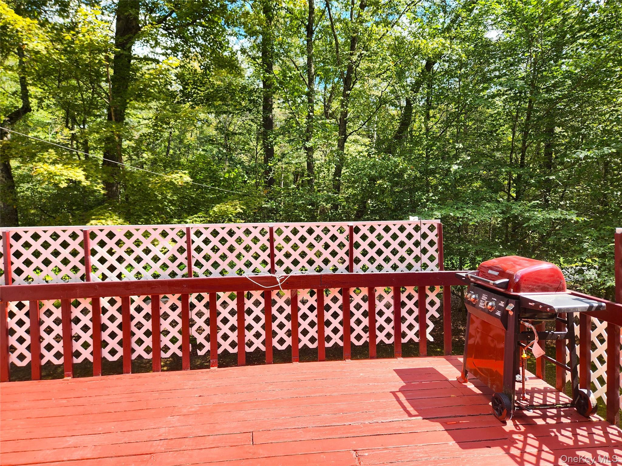 19 Gina Lane, Smallwood, NY 12778