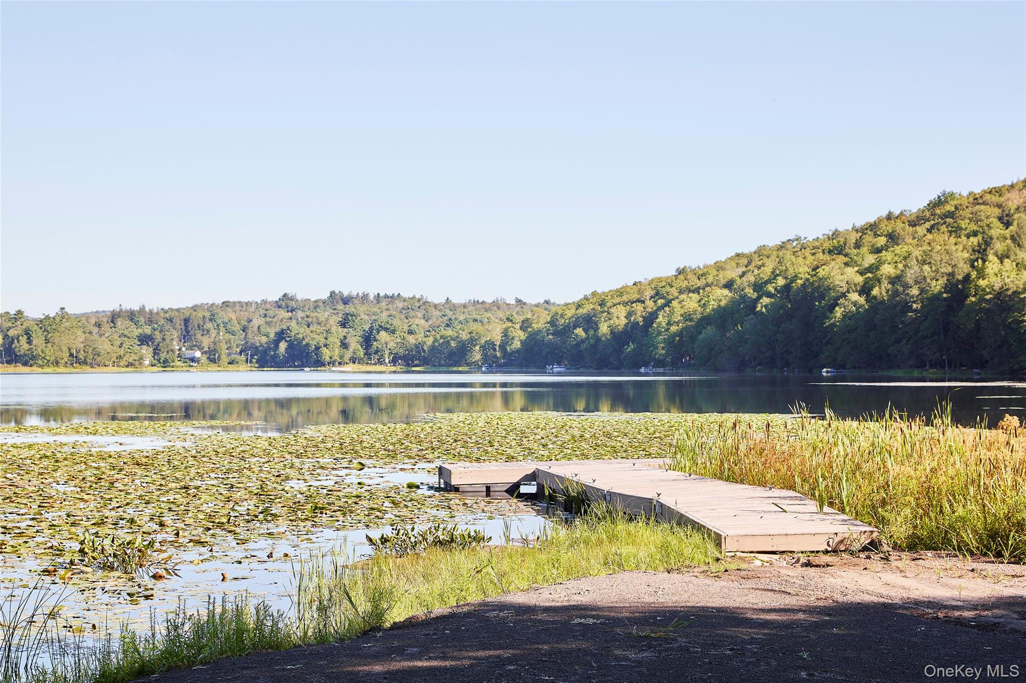 11 Land and Lakes Trail, Kenoza Lake, NY 12750