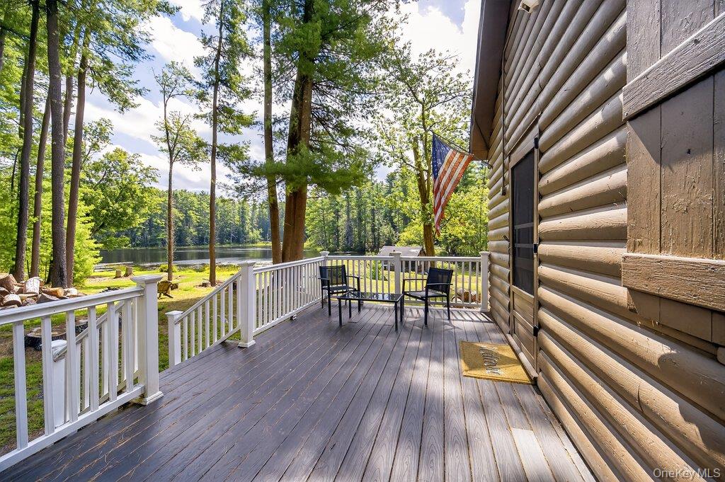 10 Stag Forest Road, Forestburgh, NY 12777