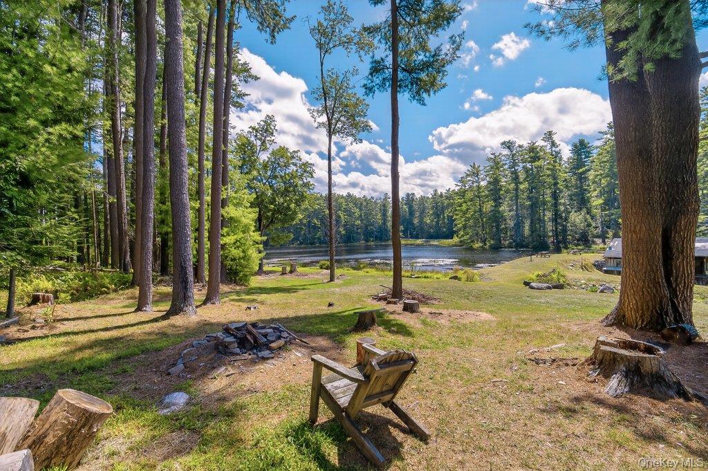 10 Stag Forest Road, Forestburgh, NY 12777