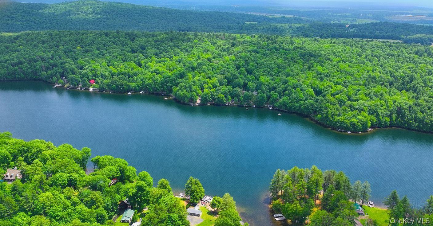 302 Hadlock Pond, Call Listing Agent, NY 12827