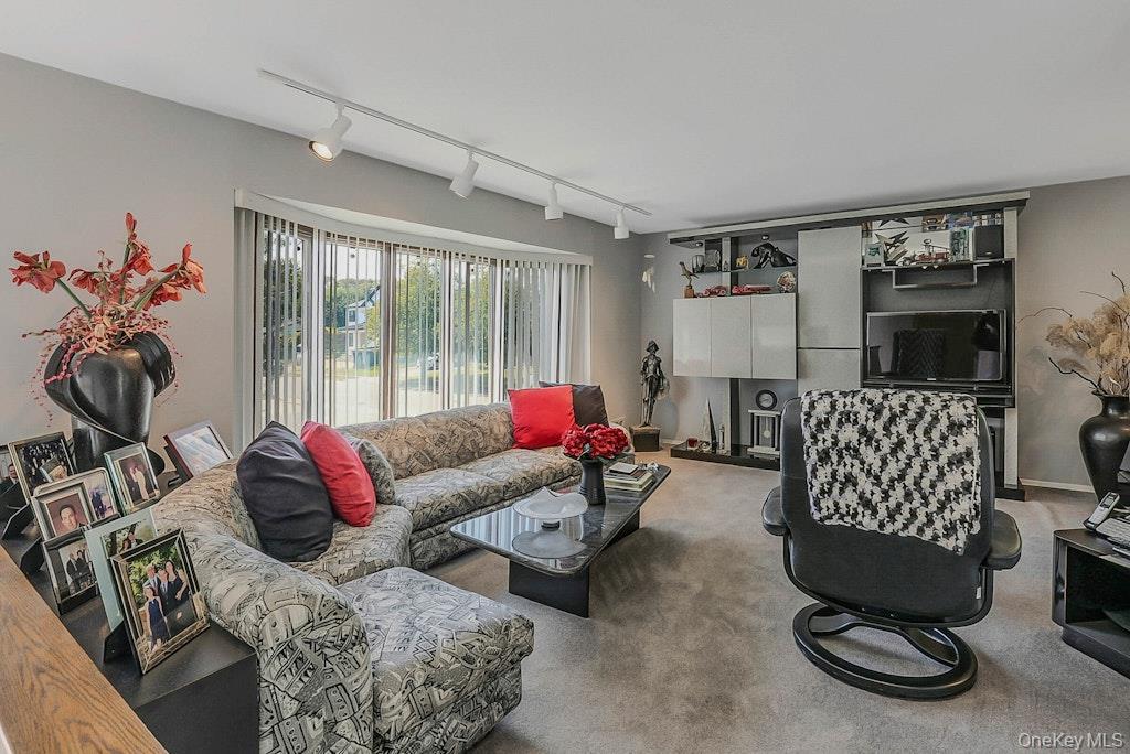 20 Steuben Drive, Jericho, NY 11753