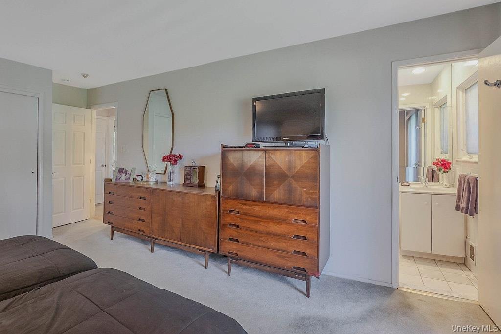 20 Steuben Drive, Jericho, NY 11753