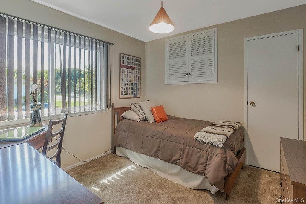 20 Steuben Drive, Jericho, NY 11753