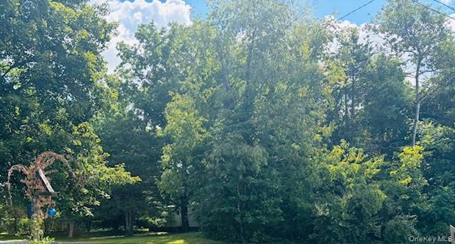 58 Britton Street, Pine Plains, NY 12567