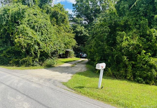 58 Britton Street, Pine Plains, NY 12567