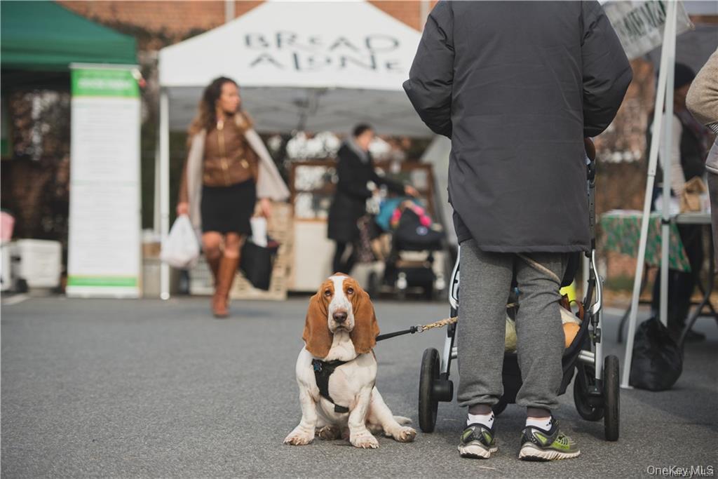 40 Dorchester Avenue, Hastings-on-Hudson, NY 10706