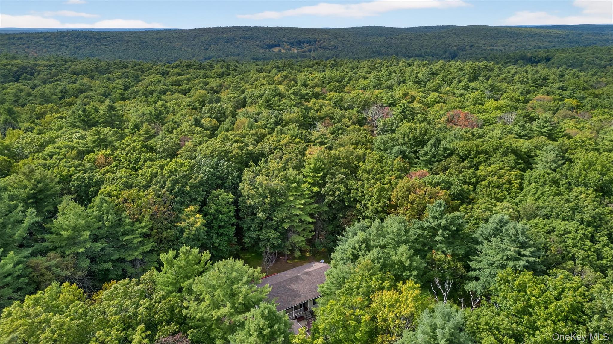 12 Summit Drive, Yulan, NY 12719