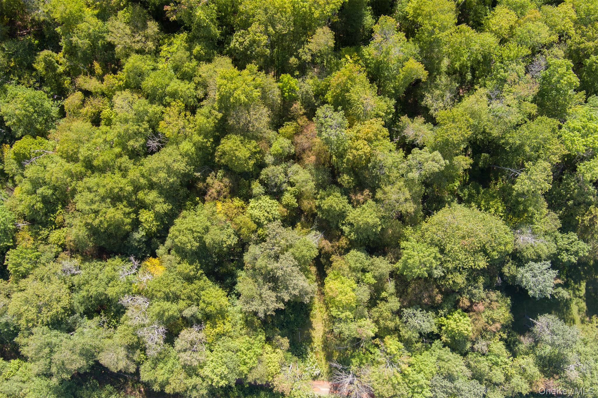 Maccabee Road, Roscoe, NY