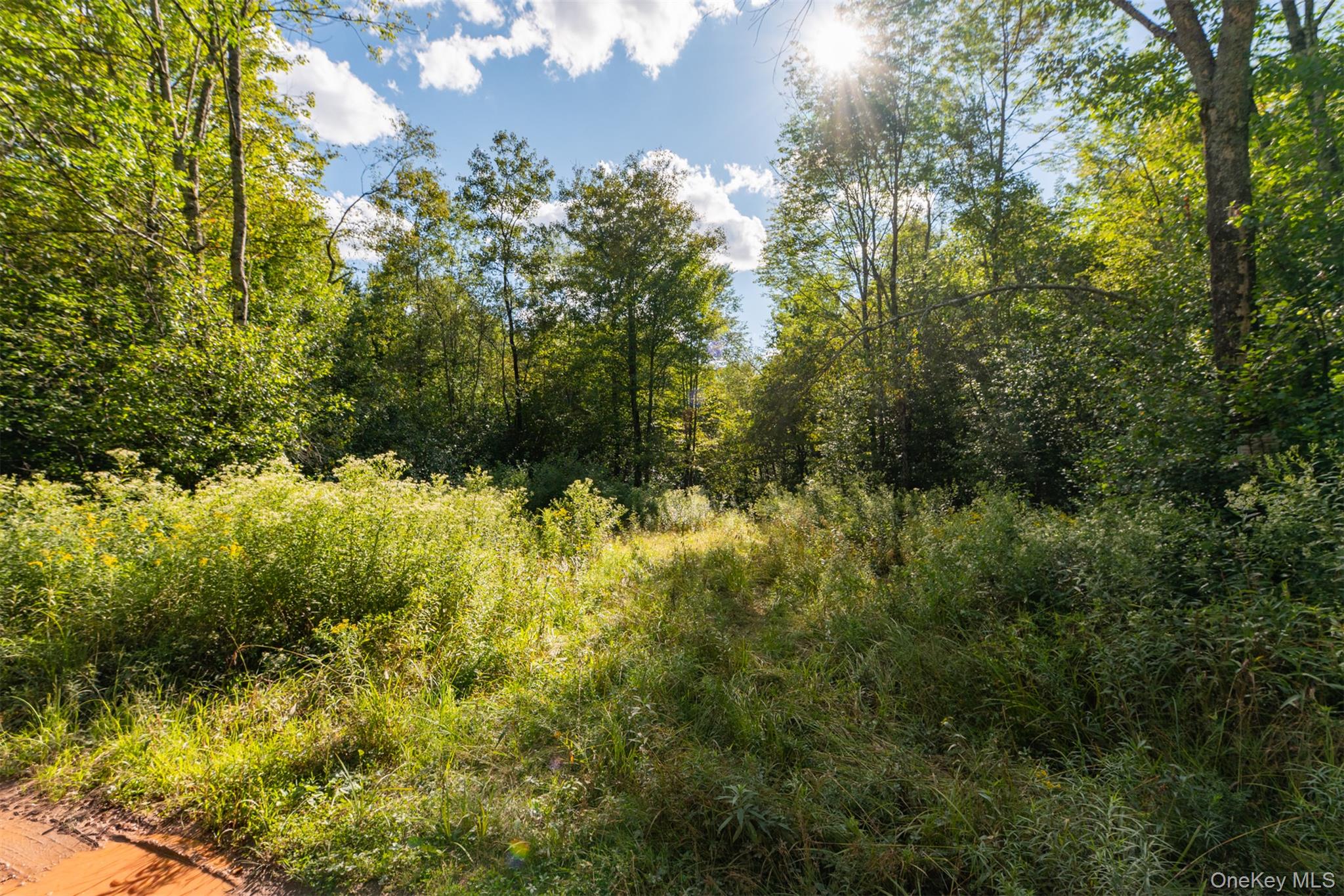 Maccabee Road, Roscoe, NY