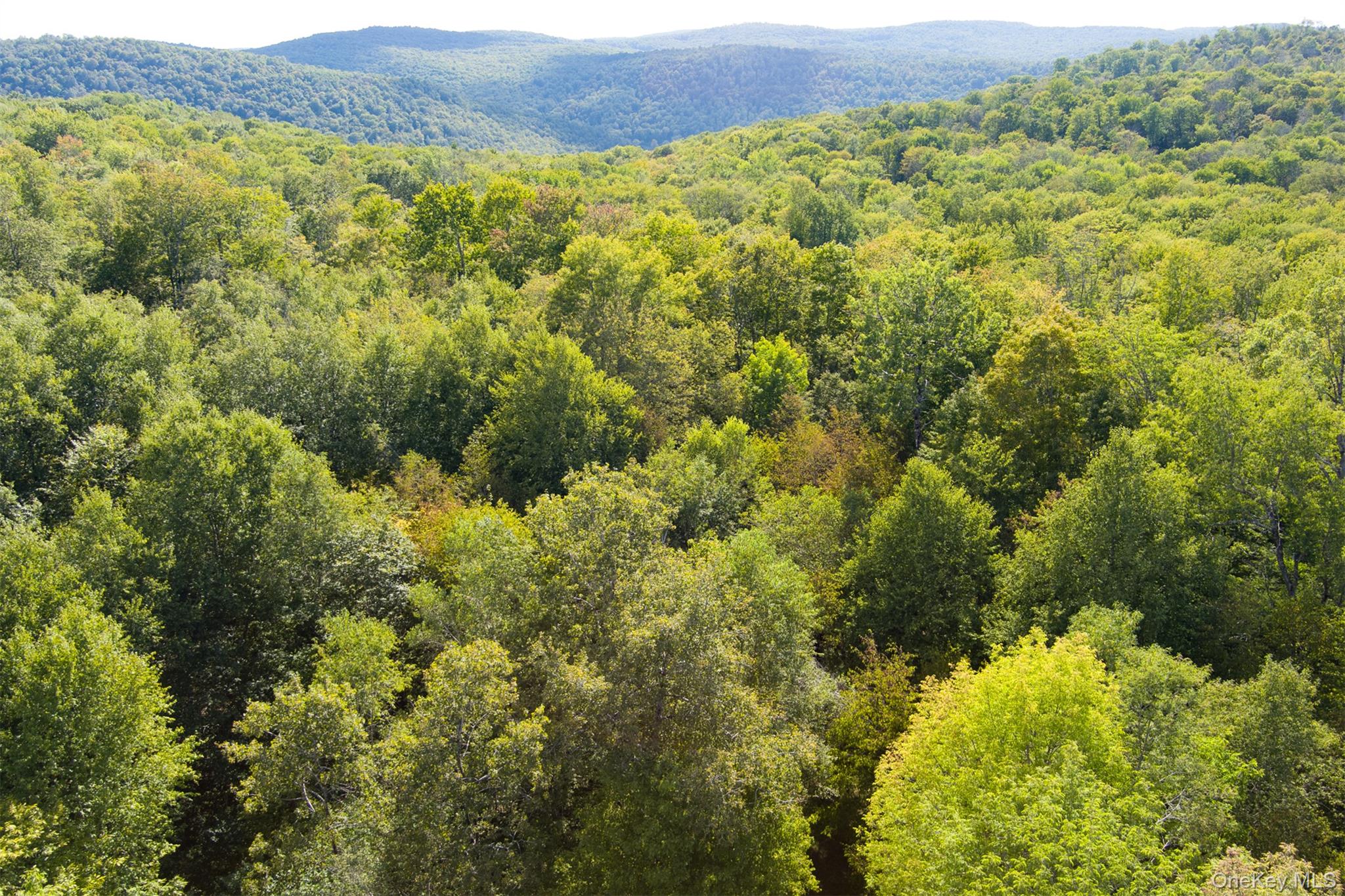 Maccabee Road, Roscoe, NY