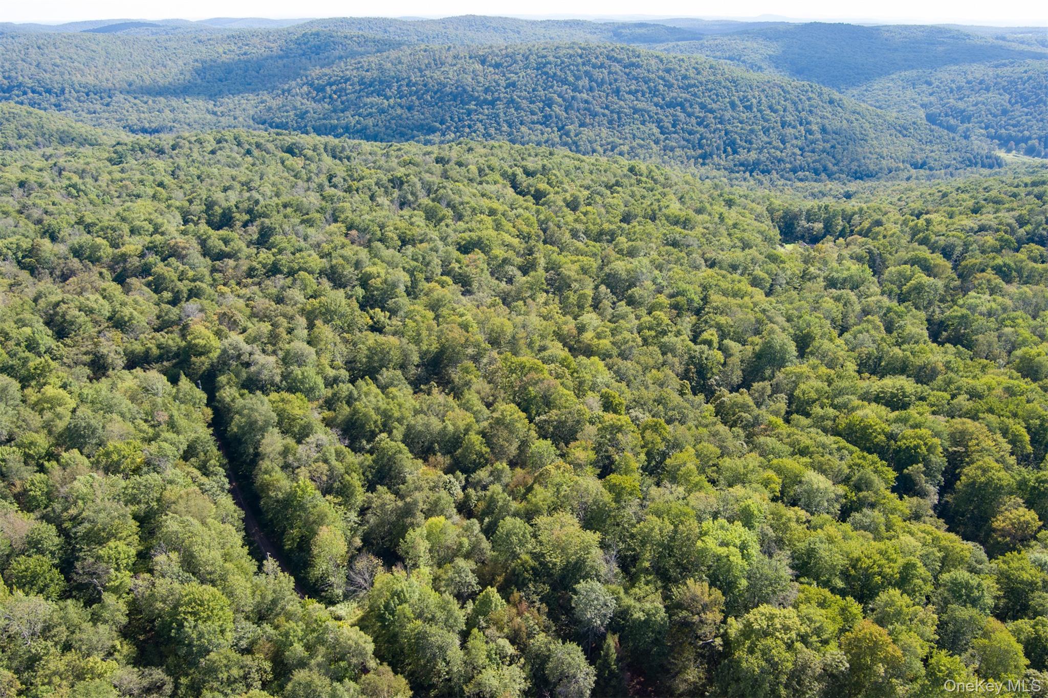 Maccabee Road, Roscoe, NY