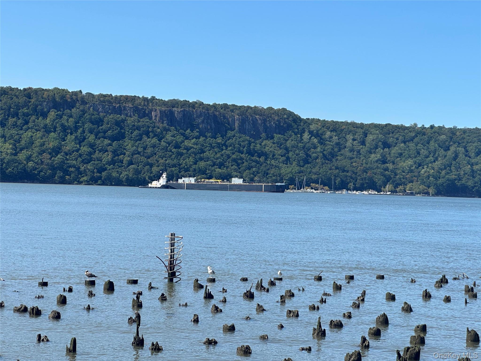 23 Water Grant Street # 11A, Yonkers, NY 10701