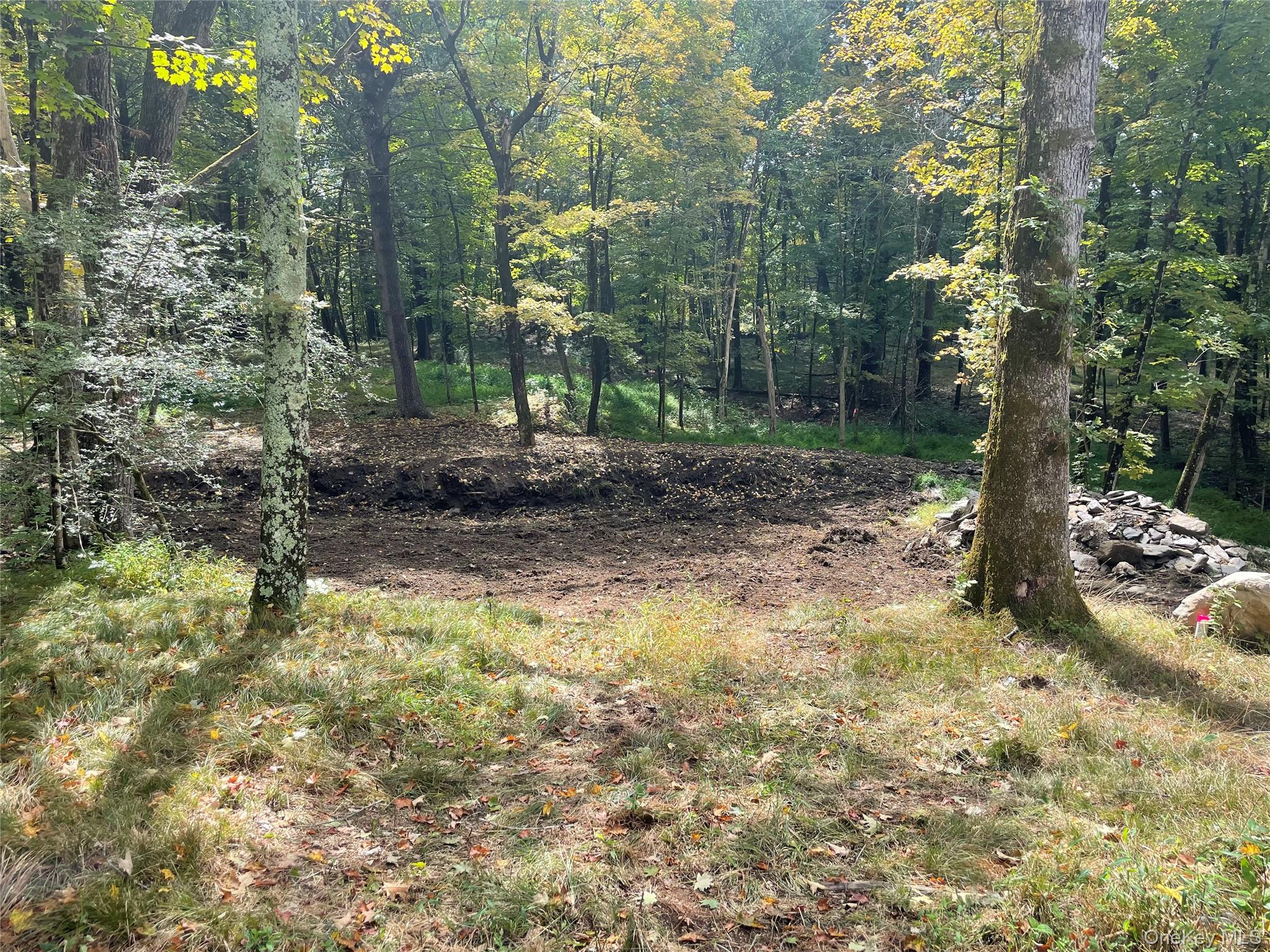 Lot #2 Church Rd, Red Hook, NY 12571