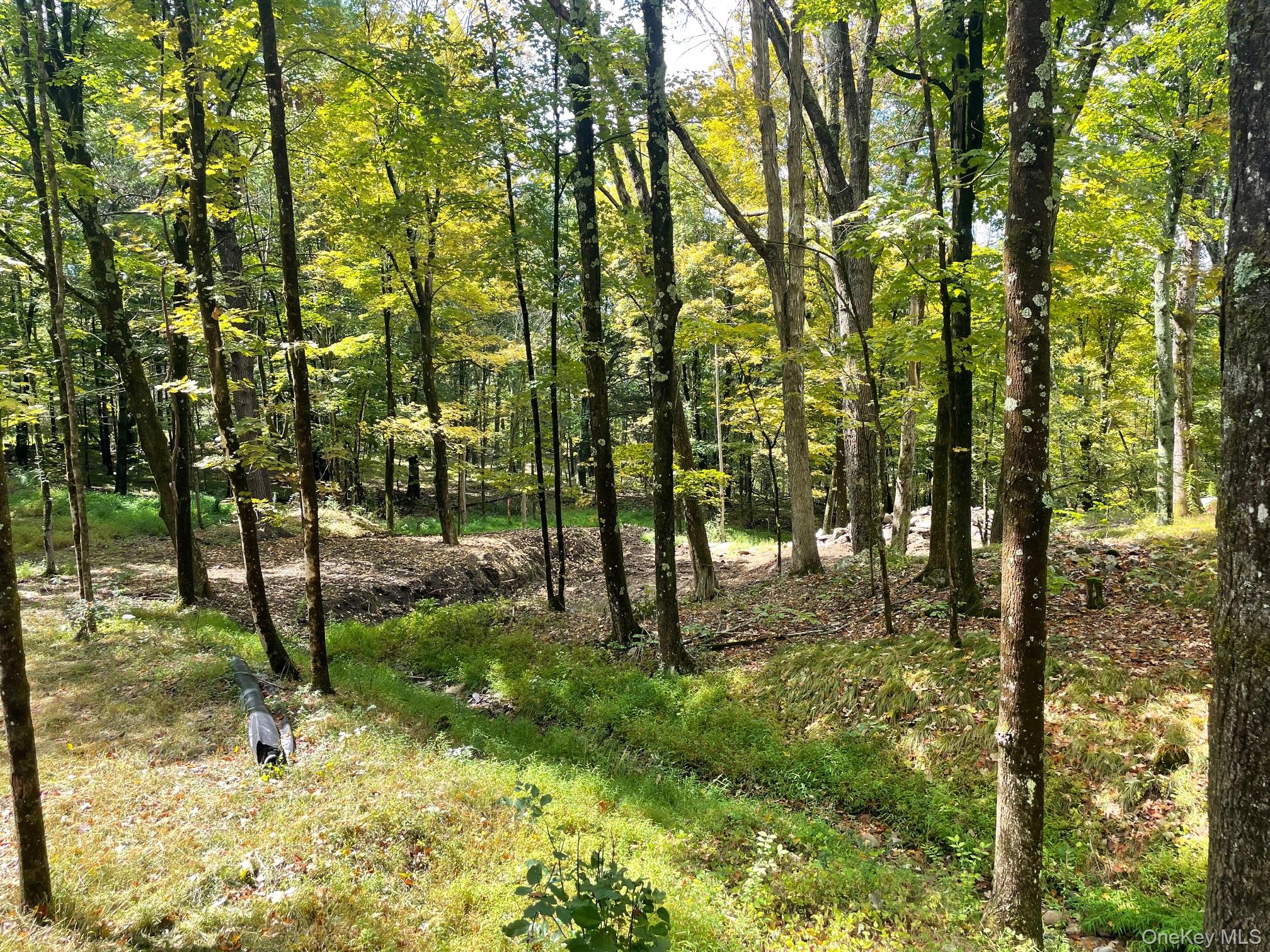 Lot #2 Church Rd, Red Hook, NY 12571