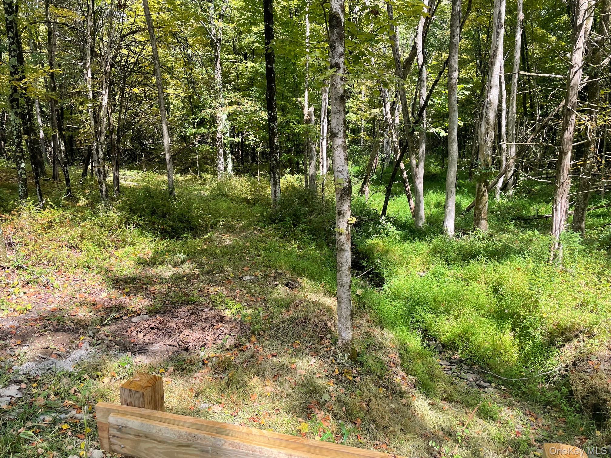 Lot #2 Church Rd, Red Hook, NY 12571