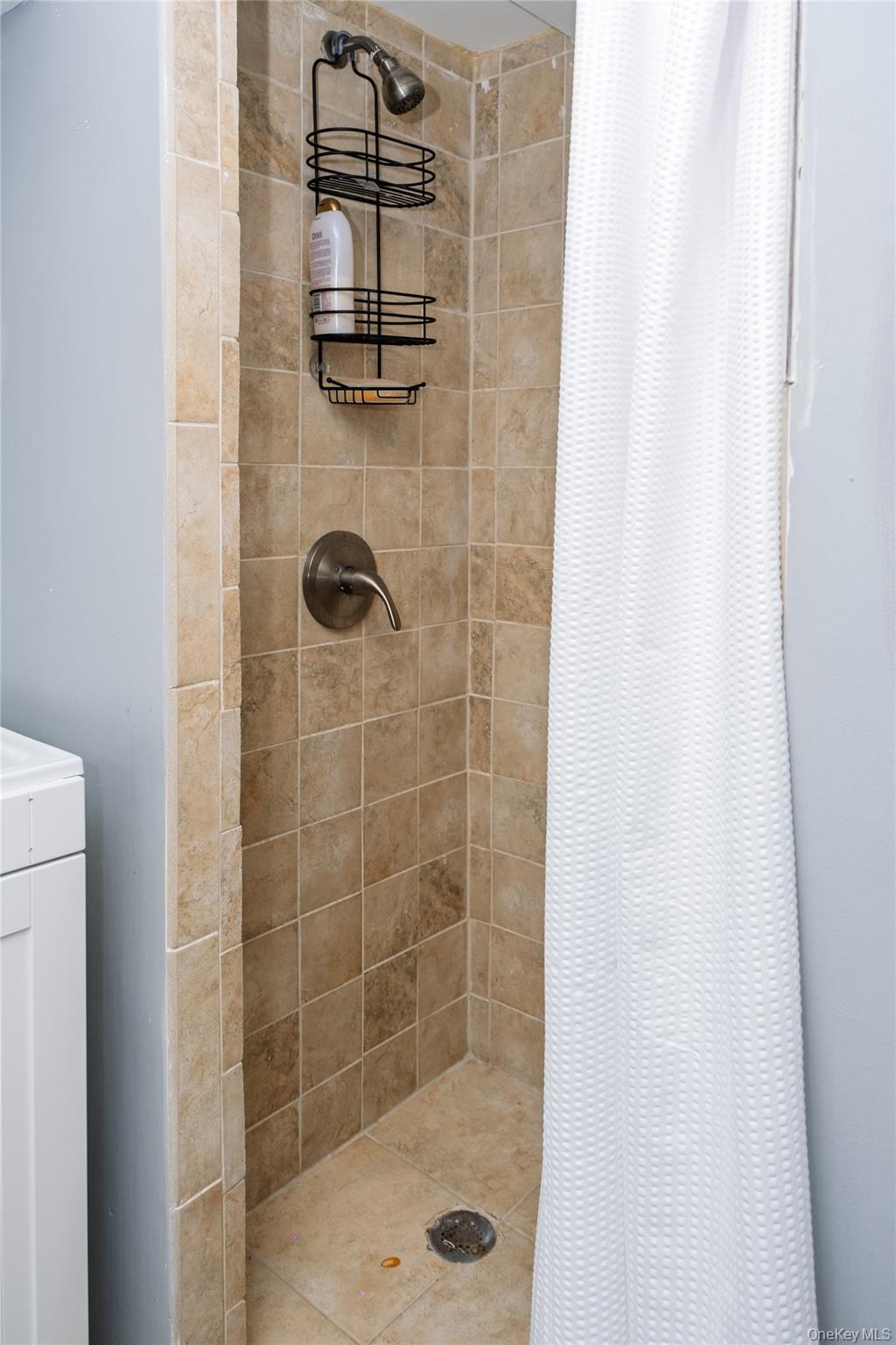 217 Elton Road, Stewart Manor, NY 11530