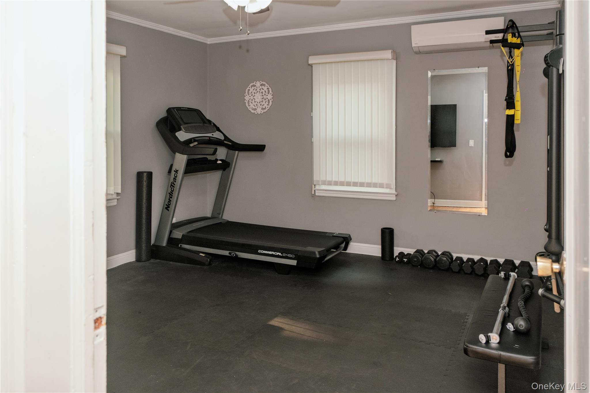 217 Elton Road, Stewart Manor, NY 11530