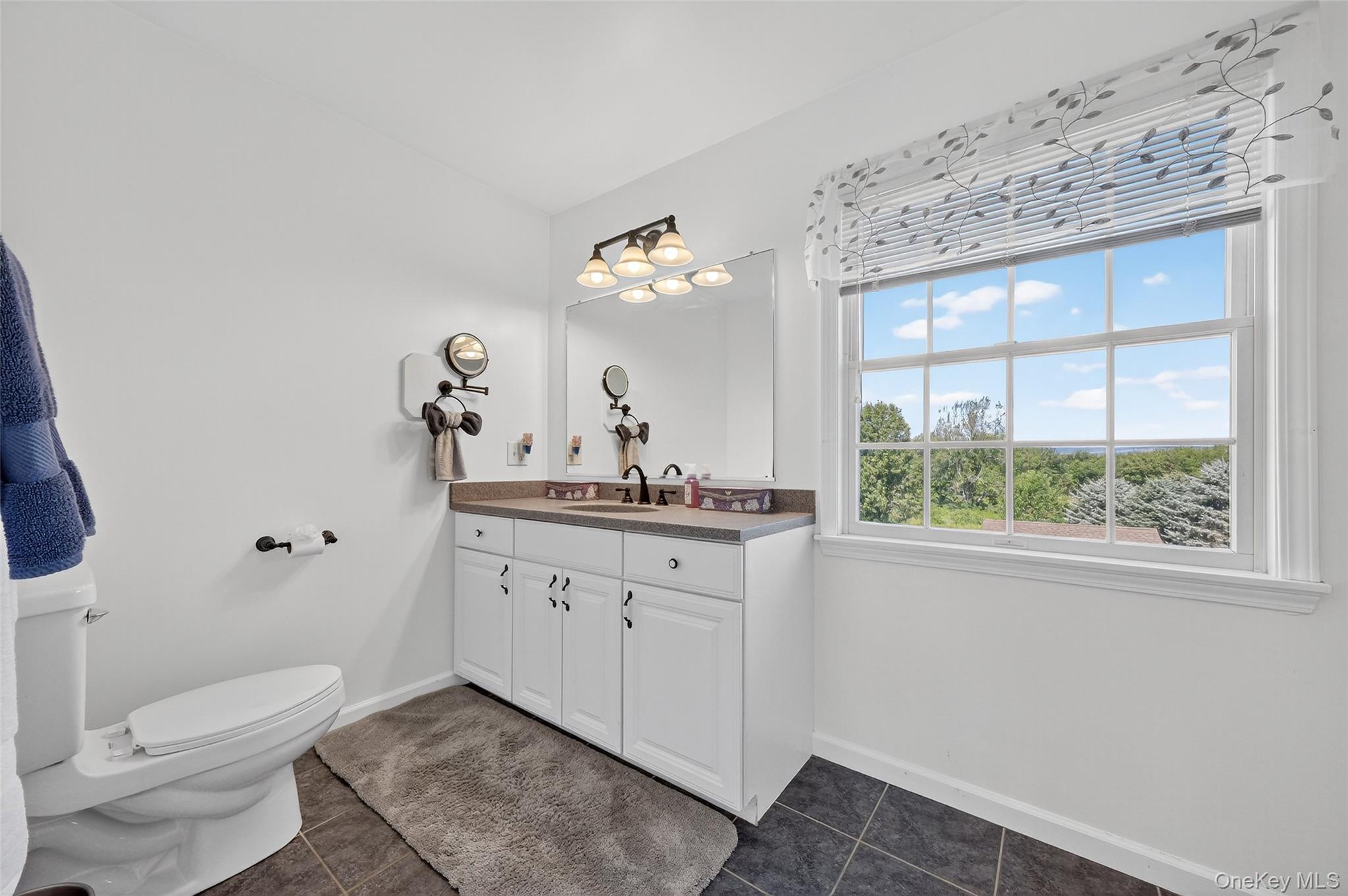 31 Trapps View Farm Road, Wallkill, NY 12589