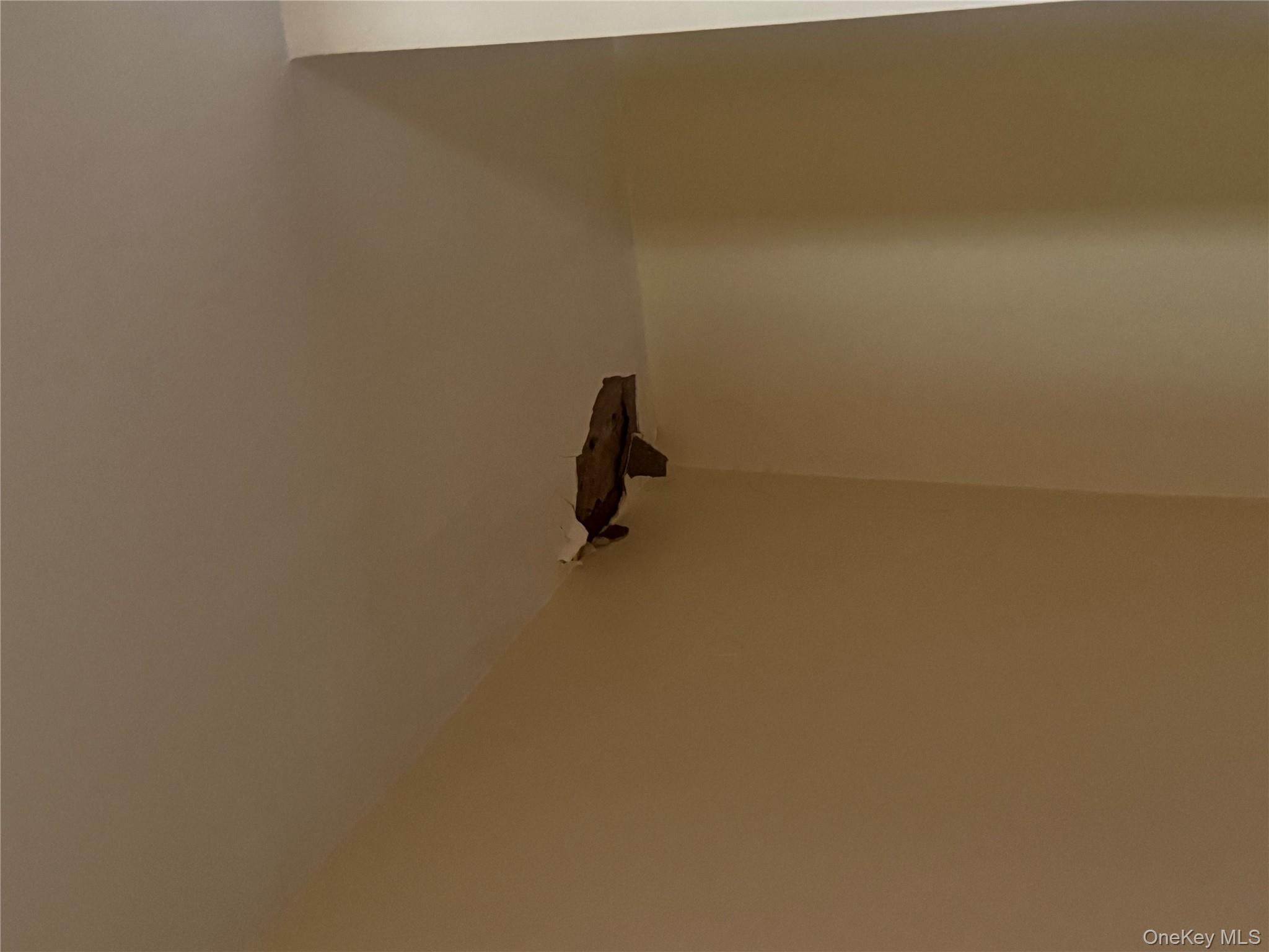 1017 E 229 Street, Bronx,, Bronx, NY 10466