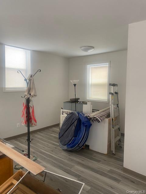 67-37 78th street, Middle Village, NY 11379