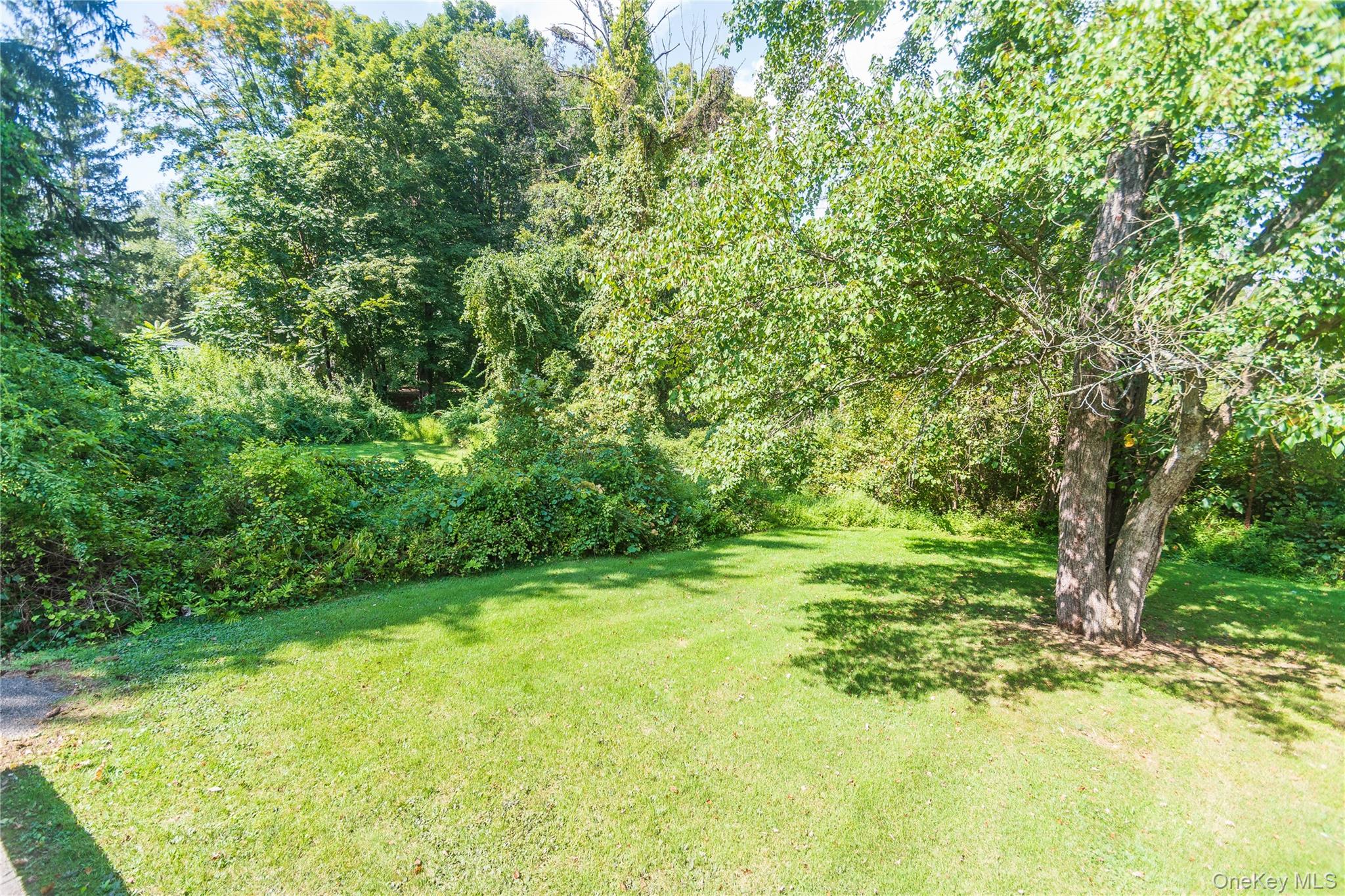 31 Lawrence Road, Hyde Park, NY 12538