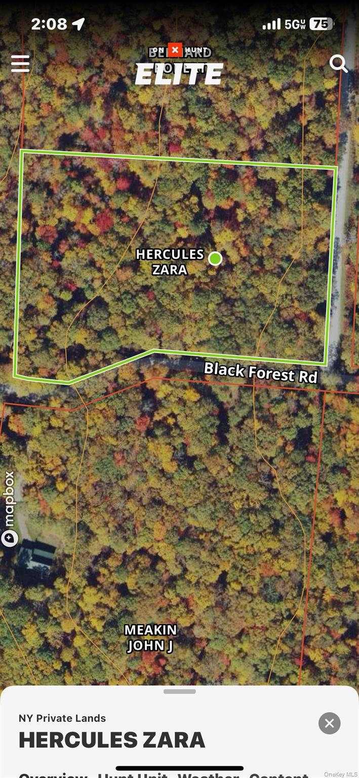 Black Forest Road, Glen Spey, NY 12737
