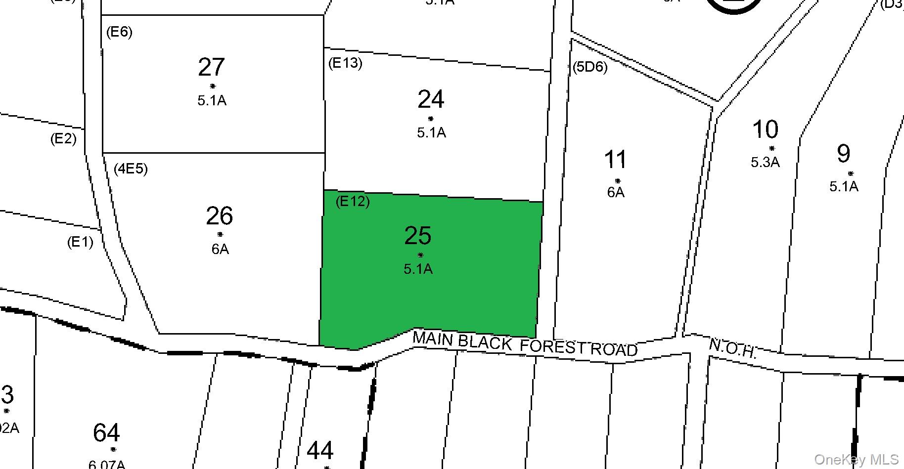 Black Forest Road, Glen Spey, NY 12737