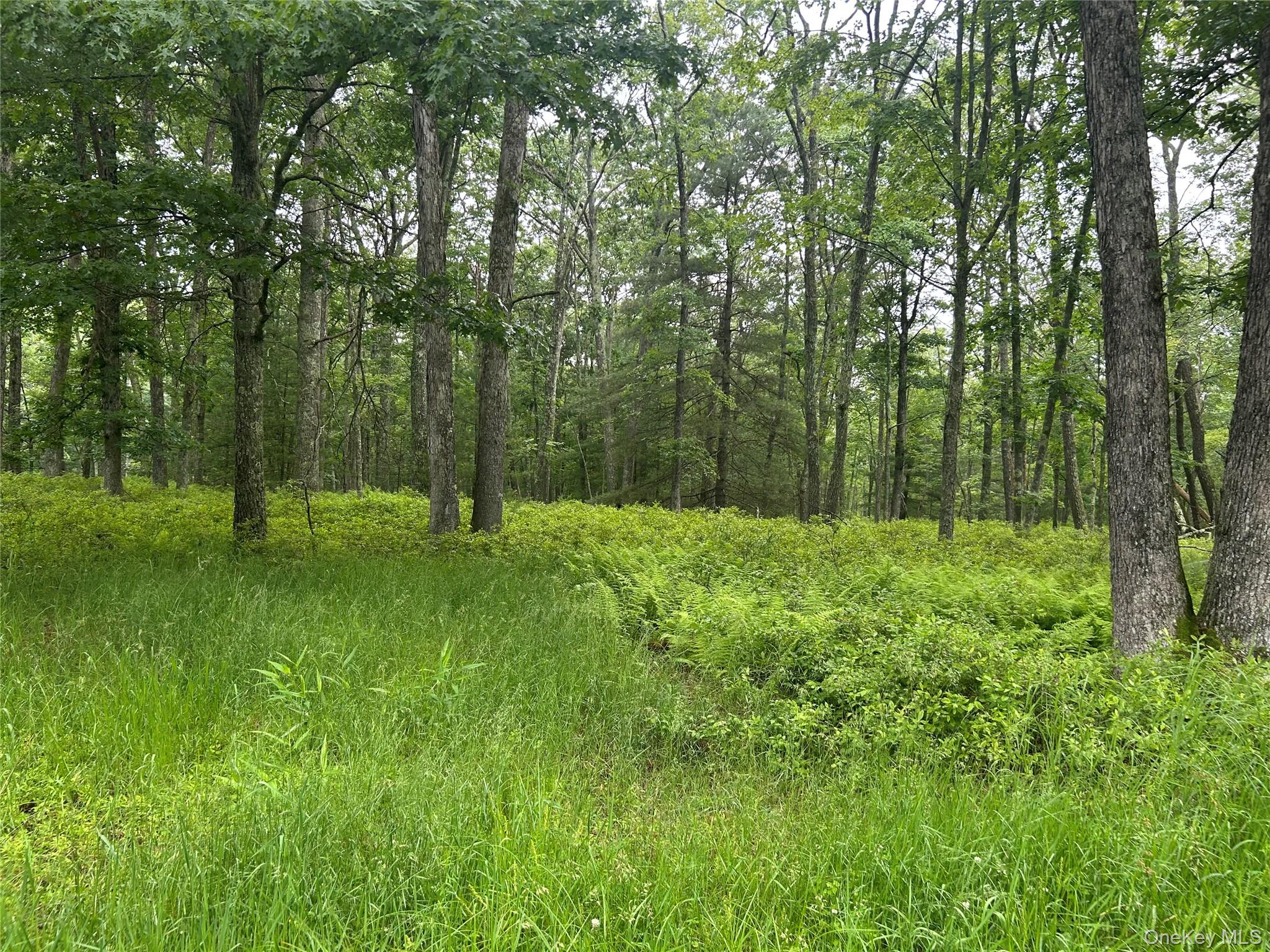 Black Forest Road, Glen Spey, NY 12737