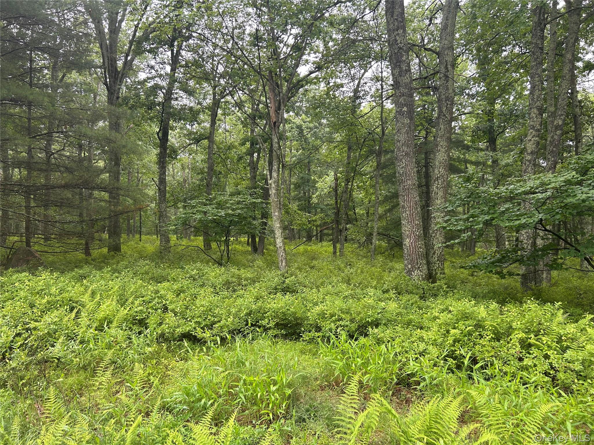 Black Forest Road, Glen Spey, NY 12737