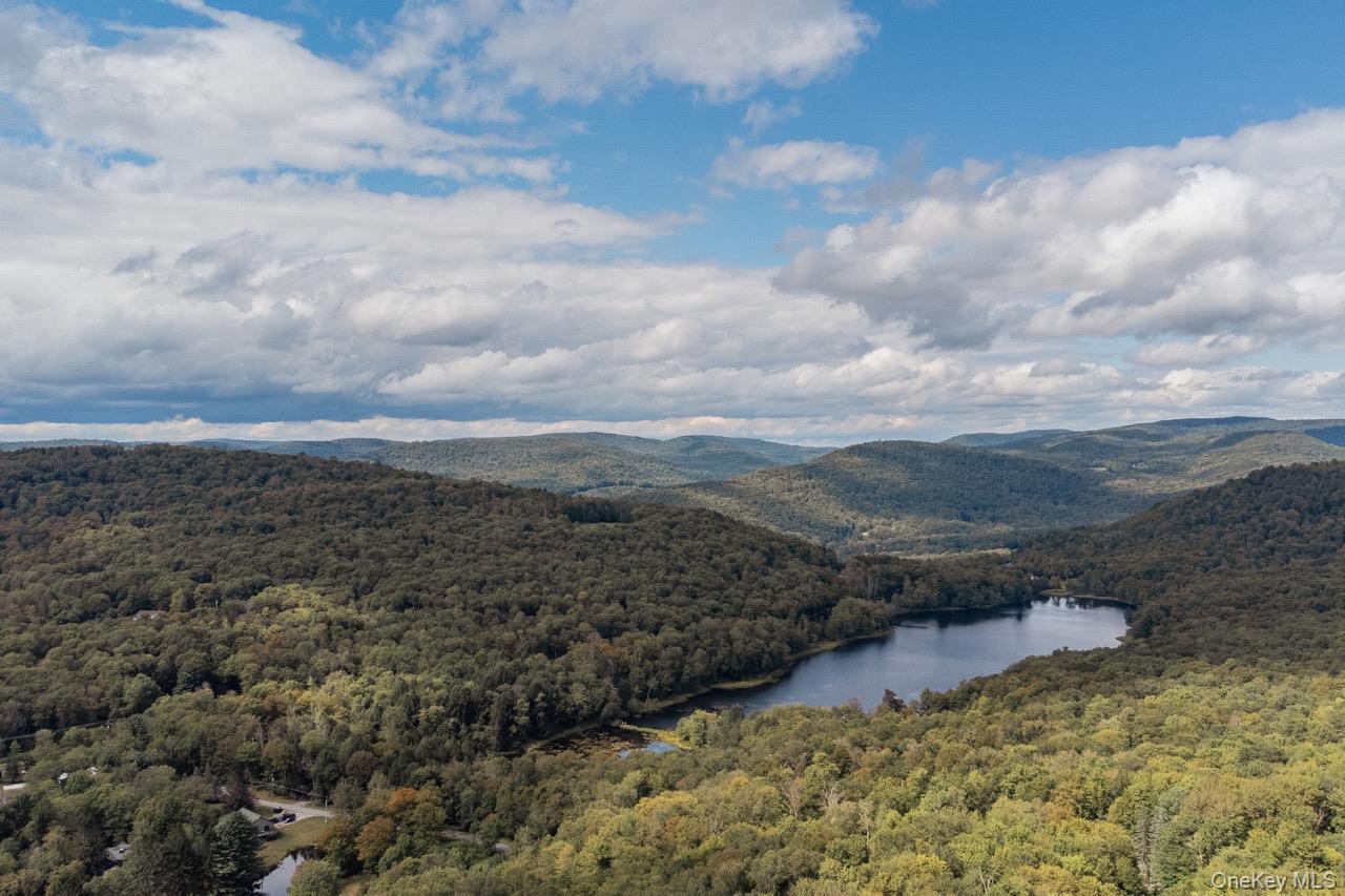 108 Alexander Drive, Livingston Manor, NY 12758