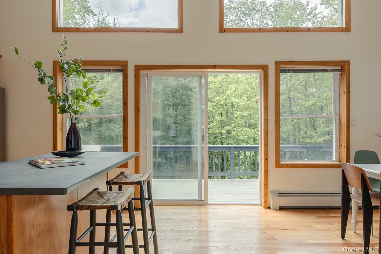 108 Alexander Drive, Livingston Manor, NY 12758