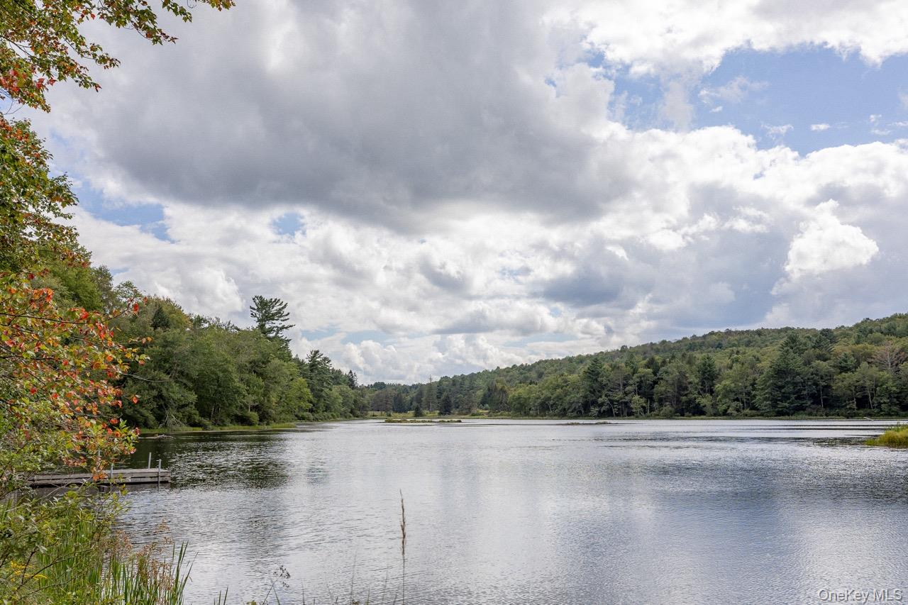 108 Alexander Drive, Livingston Manor, NY 12758