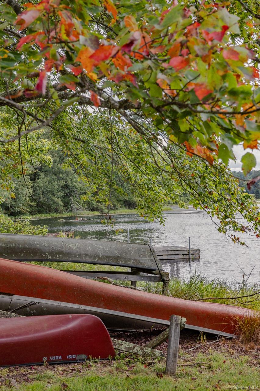 108 Alexander Drive, Livingston Manor, NY 12758