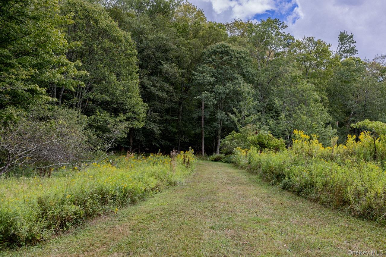 108 Alexander Drive, Livingston Manor, NY 12758