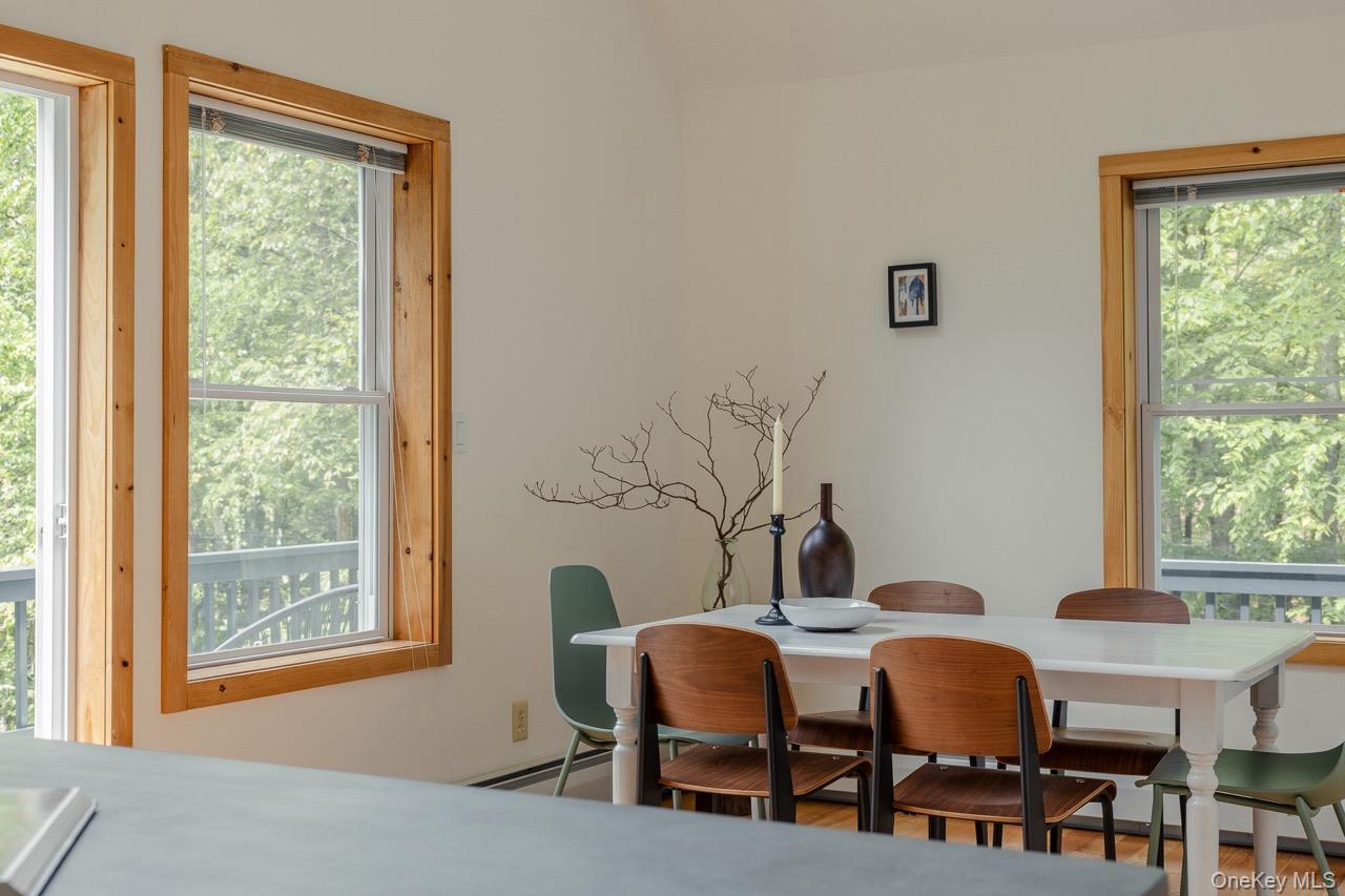 108 Alexander Drive, Livingston Manor, NY 12758