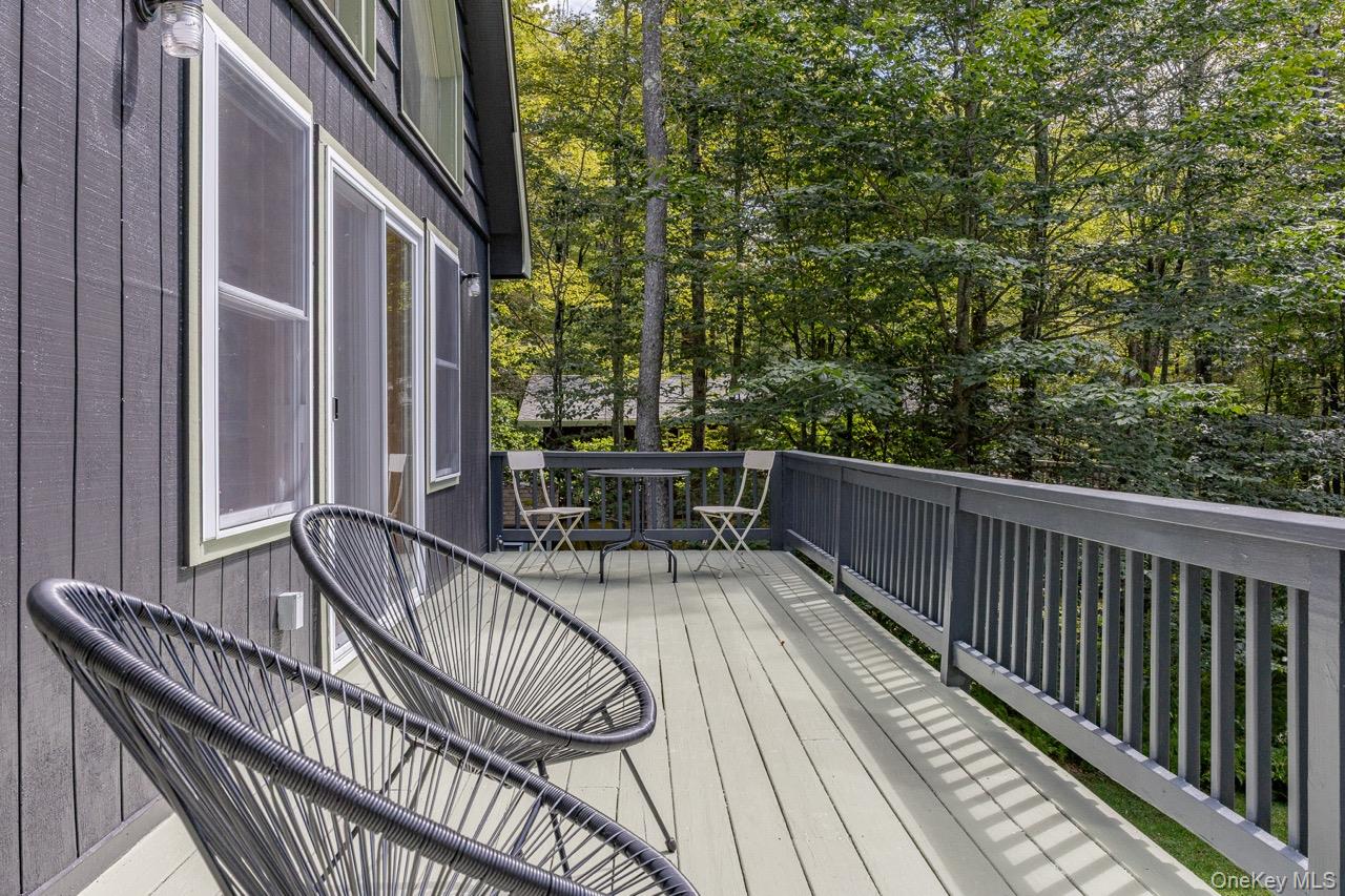 108 Alexander Drive, Livingston Manor, NY 12758