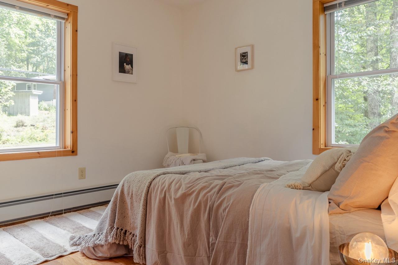 108 Alexander Drive, Livingston Manor, NY 12758