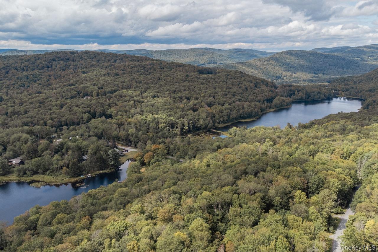 108 Alexander Drive, Livingston Manor, NY 12758