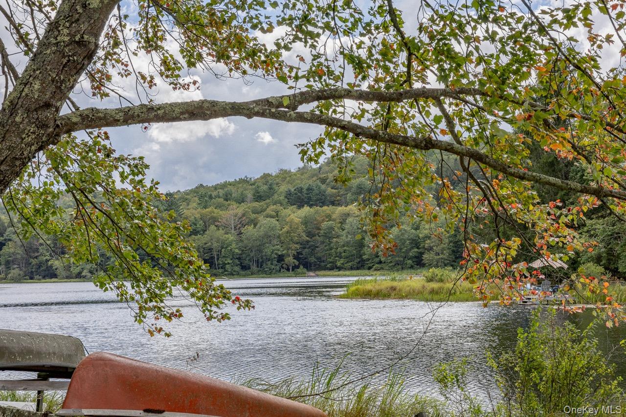 108 Alexander Drive, Livingston Manor, NY 12758