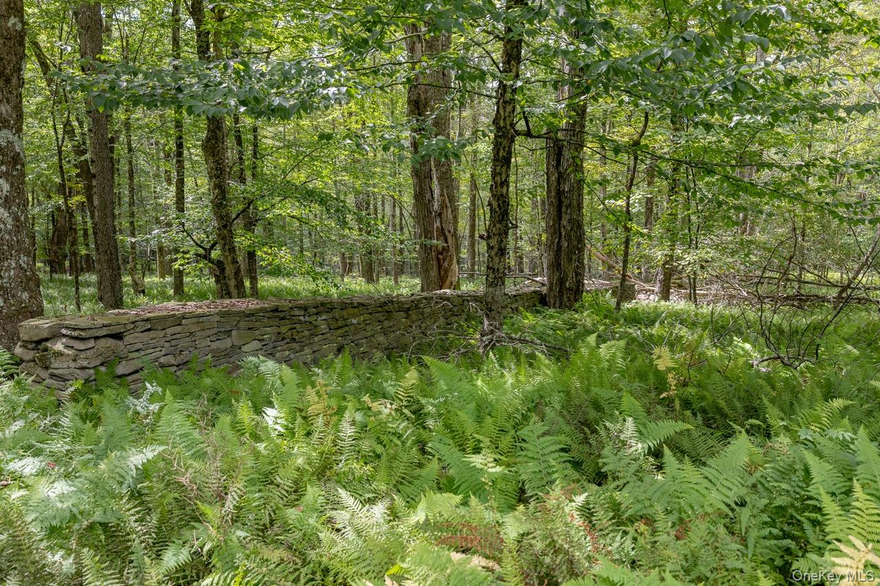 108 Alexander Drive, Livingston Manor, NY 12758