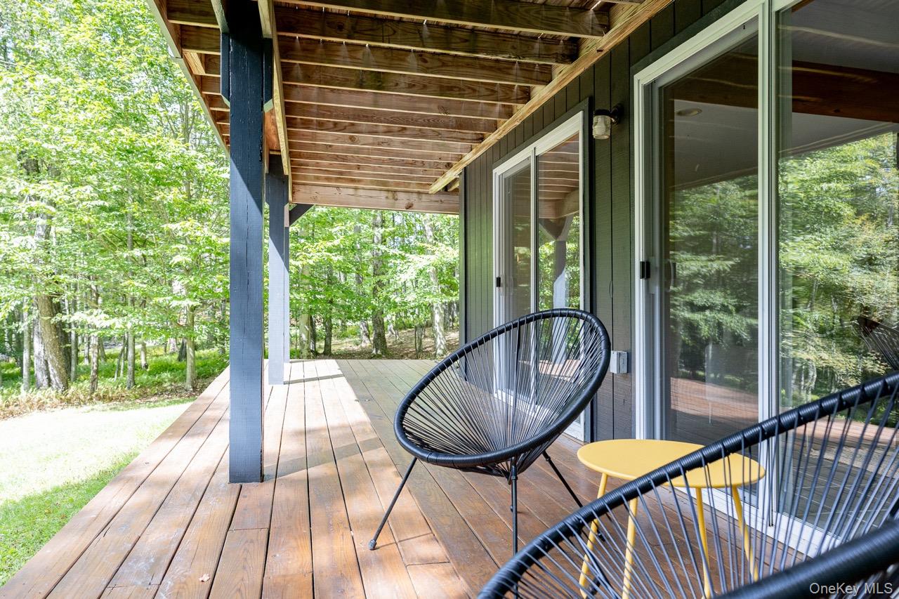 108 Alexander Drive, Livingston Manor, NY 12758