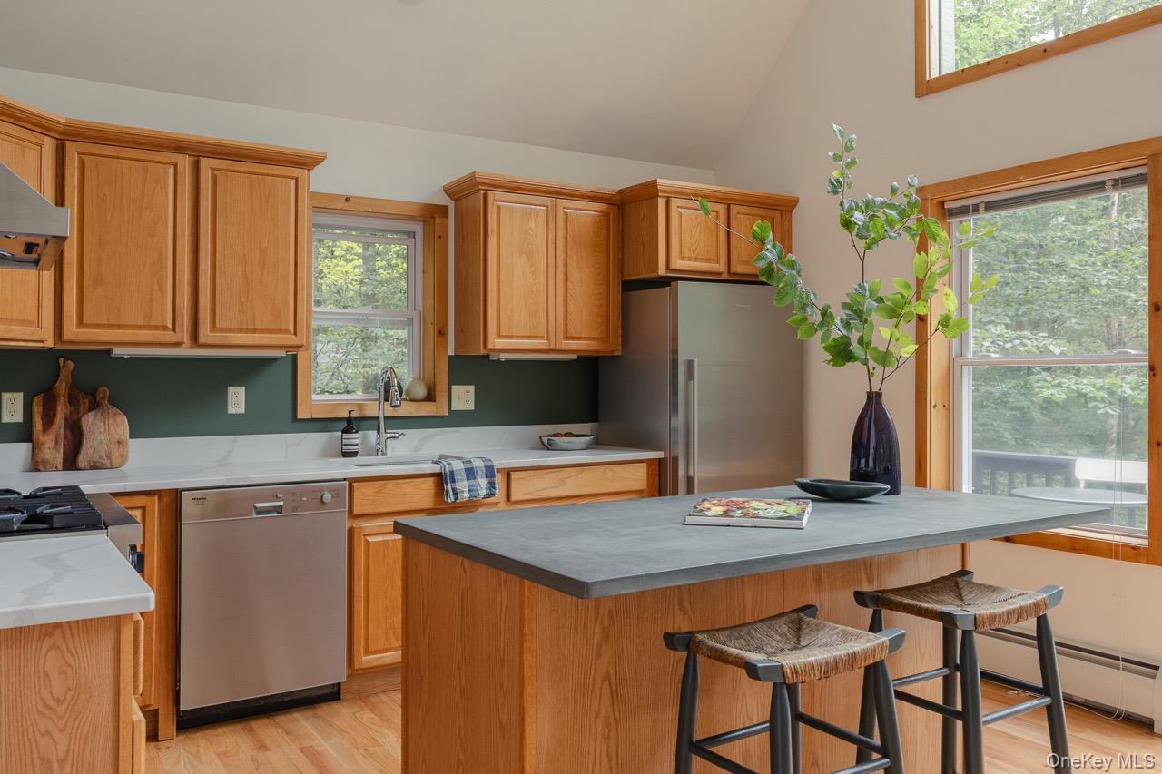 108 Alexander Drive, Livingston Manor, NY 12758