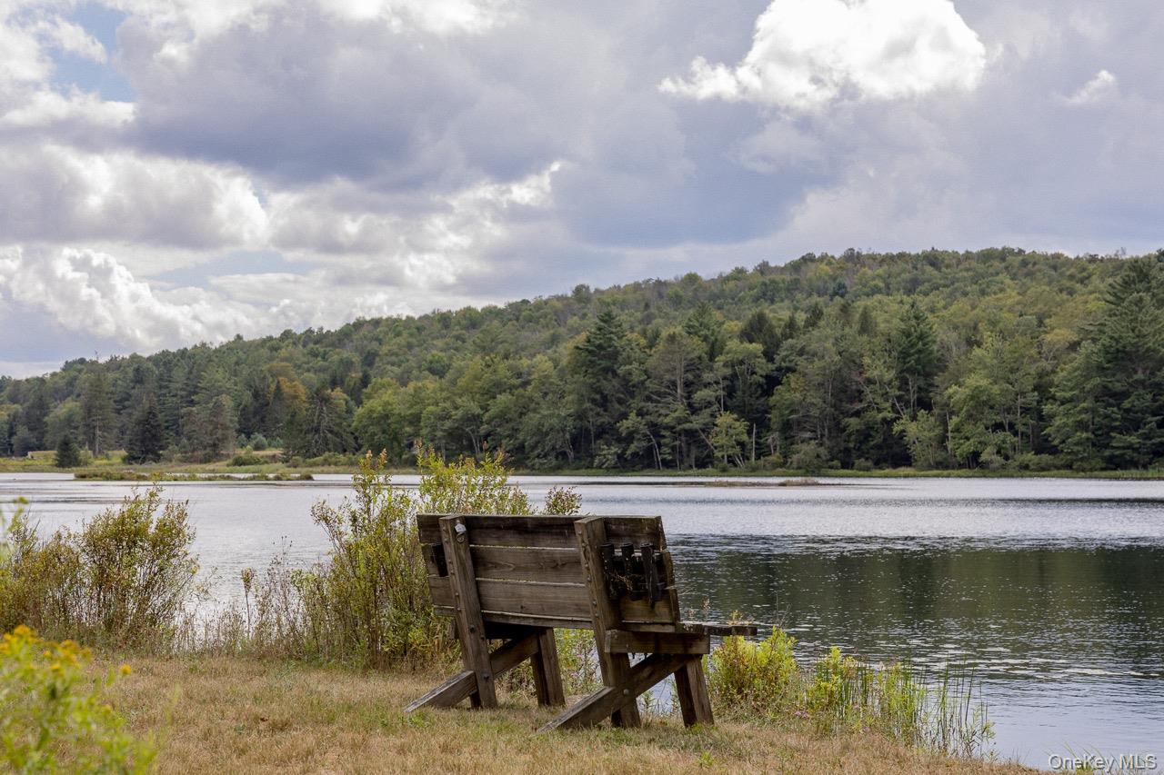 108 Alexander Drive, Livingston Manor, NY 12758