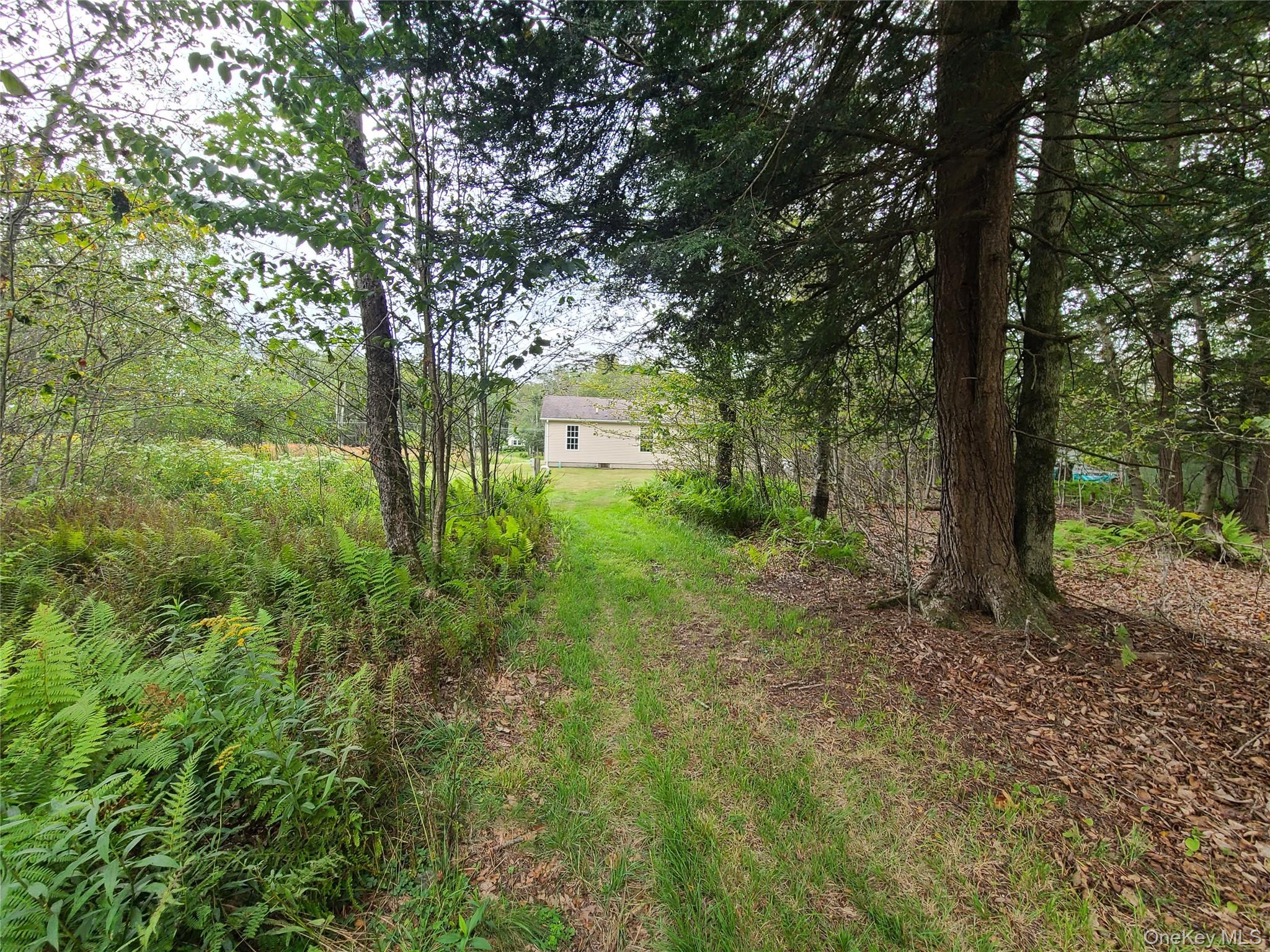 82 Benton Hollow Road, Liberty, NY 12754