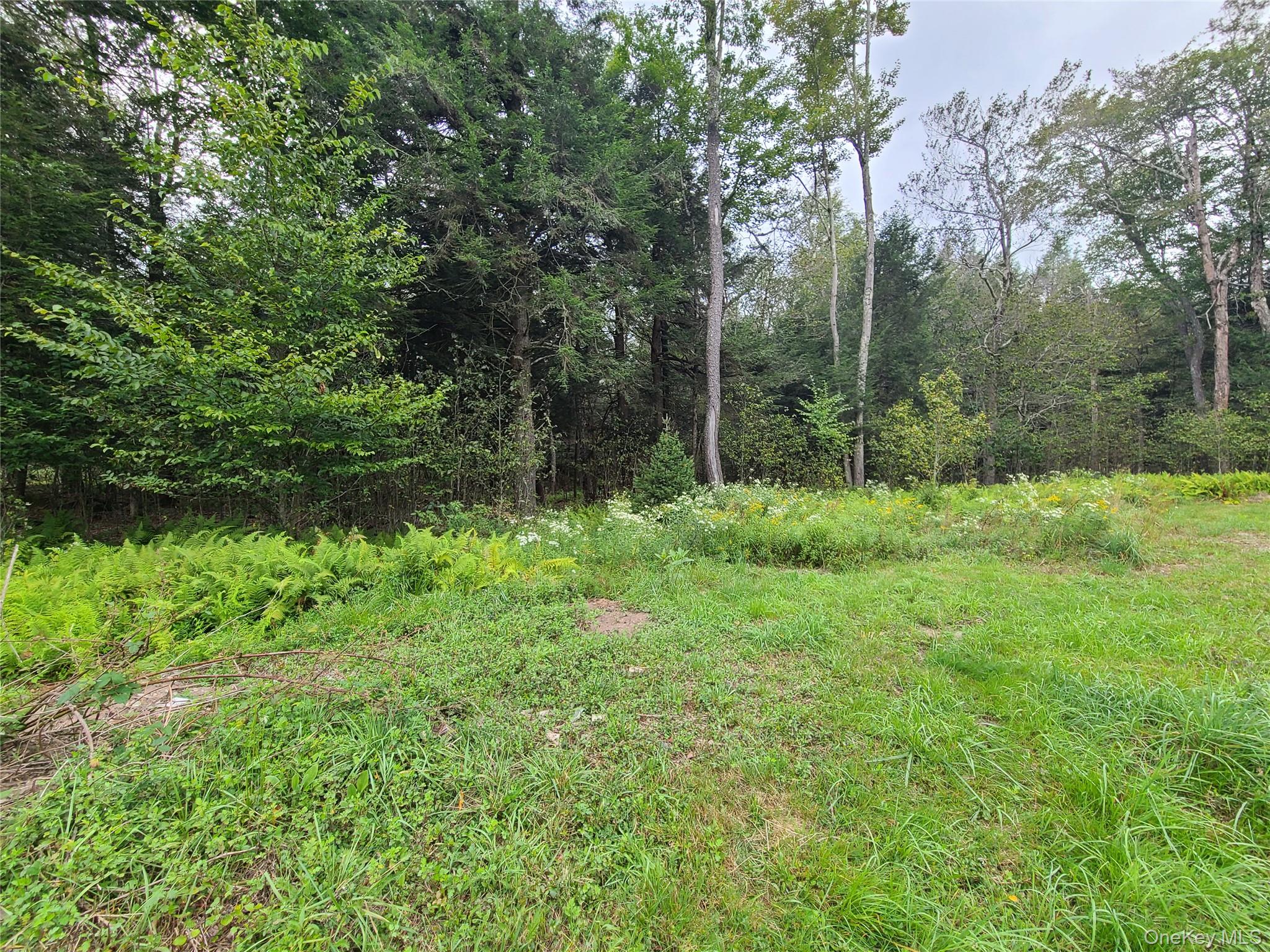 82 Benton Hollow Road, Liberty, NY 12754