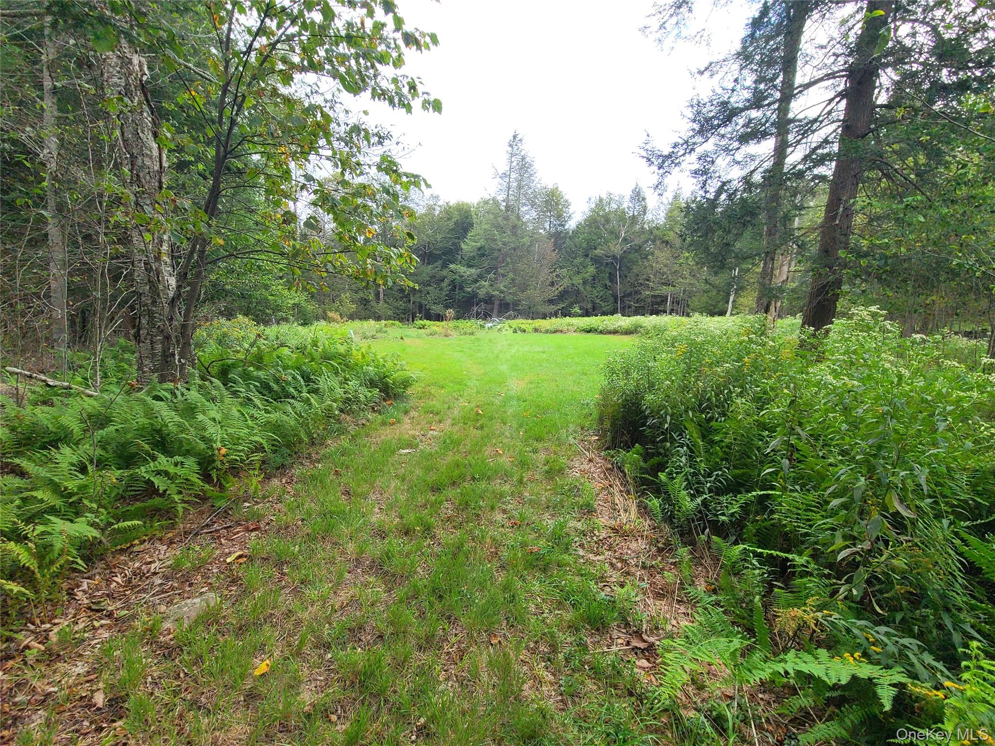 82 Benton Hollow Road, Liberty, NY 12754