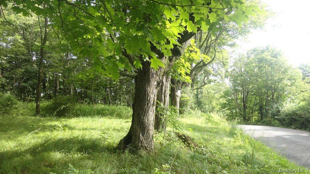 Henry Road, Cragsmoor, NY 12420